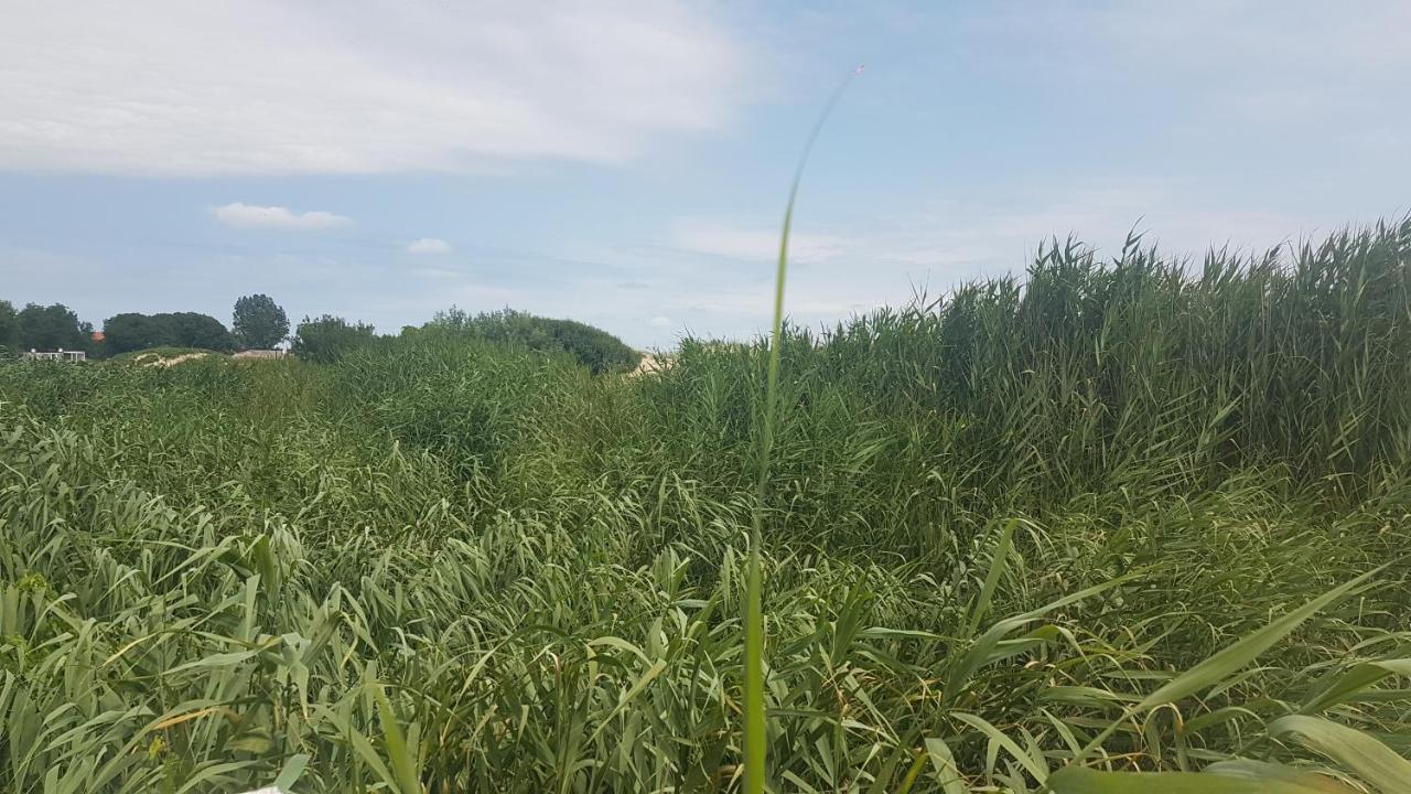 Студио Морски Бряг-Лозенец Bagian luar foto